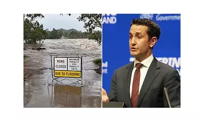 Queensland Premier Slams 'Low-Life' for Cutting Telecoms Cable as Cyclone Looms