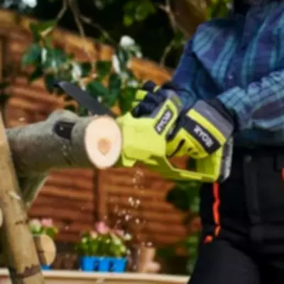 Ryobi Pruning Saw Saves Gardeners Money on Tree Surgeon Bills