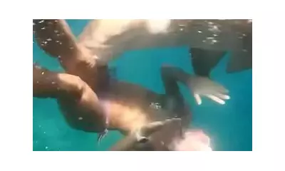 Shark Bites Snorkeller in Brazil: 'I Felt It Shaking Me By The Leg'