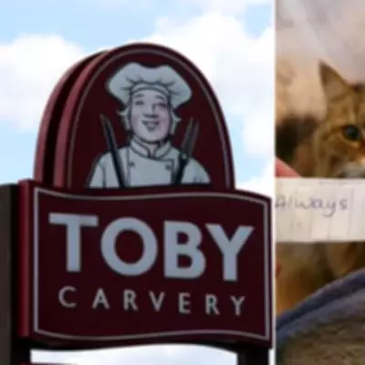 Siberian Cat's Secret Toby Carvery Roast Habit Exposed by Hilarious Note