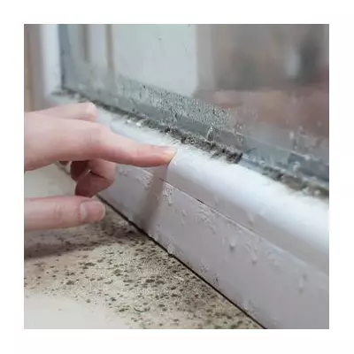 Stop Window Condensation with £1 Shaving Foam Hack and Expert Tips