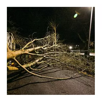 Storm Goretti Unleashes 123mph Winds, Red Warning Issued for Cornwall