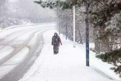 Storm Goretti Unleashes 'Weather Bomb' on UK: 30cm Snow, 100mph Winds