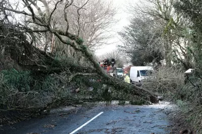 Storm Ingrid Batters UK with 60mph Winds and Flood Warnings