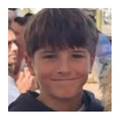 Sydney Harbour Shark Attack: Family Confirms 12-Year-Old Boy Brain-Dead After Mauling