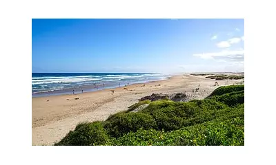 Tragic Drowning: Four-Year-Old Boy Dies After NSW Mid North Coast Pool Incident