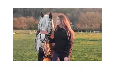 Tragic Horse Kick Kills Teenage Equestrian in Sussex Farm Accident