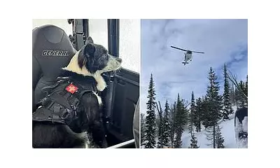 Two Men Killed in Washington State Avalanche While Snowmobiling