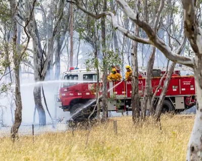 Victoria Battles 32 Active Fires as Premier Warns of 'Another Difficult Day'