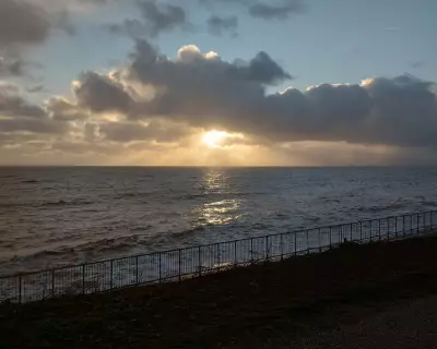 Why Your New Year's Resolutions Fail: Wait Until Spring, Says Expert