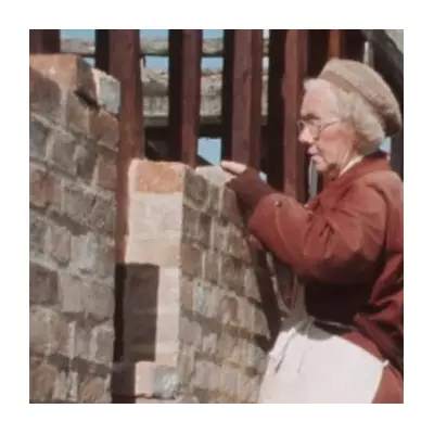 Woman Saves Historic Home by Moving It 100 Miles Brick by Brick