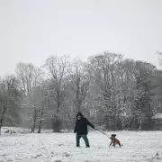 18 UK Postcodes Get £50 Double Cold Weather Payment After Snow