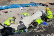 3,000-Pound Dinosaur Fossil Unearthed in Utah Parking Lot Dig
