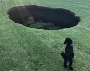 5-Metre Sinkhole Opens at Melbourne Oval Near £20bn Tunnel Works