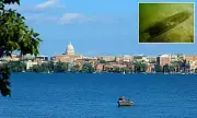 5,200-Year-Old Canoe Found in Wisconsin Rewrites North American History