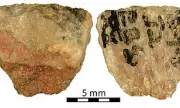 60,000-Year-Old Arrow Poison Found, Rewriting Stone Age Hunting History