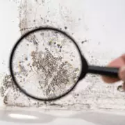 62% of Brits Fail to Clean Mould-Risk Mats Monthly, Study Reveals