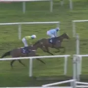 6ft 5in Trainer Max Comley's Unbeaten Manganese Defeats JP McManus Recruit