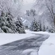 Aldi's £2 Cat Litter Hack to Stop Slippery Driveways This Winter