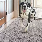 Amazon's Muddy Mat Hailed as Winter Essential for Pet Owners