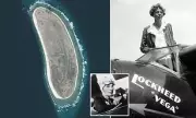 Amelia Earhart Mystery: 1937 Radio Transmitter Could Finally Locate Lost Plane