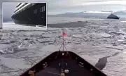 Antarctic Cruise Ship Trapped in Ice Rescued by US Coast Guard Icebreaker