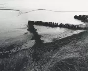 Art Weekly: Emin's Melancholy, Sebastian's Secrets & Bull's Shrinking Anatomy