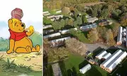 Ashdown Forest: Pooh's 100th Year Clashes with Asylum Seeker Row