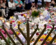 Australian Psychologists Warn Untested NDIS Tool Risks Harm to Diverse Disability Groups