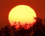 Australia's Most Severe Heatwave Since Black Summer Hits Southern States