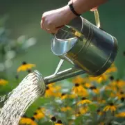 Banana Peel Fertiliser: The Natural Secret to Prolong Your Garden Blooms