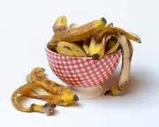 Banana Water for Plants: Does This Viral Hack Actually Work?