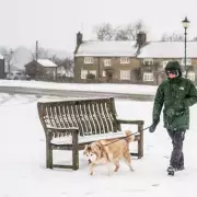 Beast from the East Alert: 7 UK Counties Face Major Snow Blitz Next Week