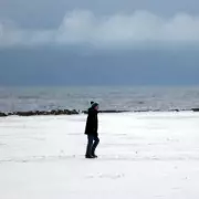 Berry Bonanza: Folklore Predicts a 'Bitterly Cold Winter' for UK After Hot Summer