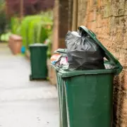 Bin Man's Simple Tip: Number Your Bins to End Collection Chaos
