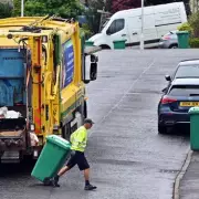 Binman's Heroic Act Saves Kitten Tossed in Rubbish Lorry, Sparks Outpouring