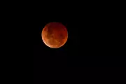 Blood Moon Lunar Eclipse: Where and When to See the Spectacle in March 2026