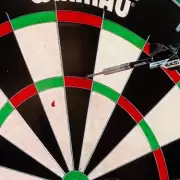 Blood on the Board: Van Veen Injury Halts World Darts Final vs Littler