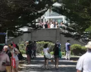 Bondi Footbridge Fate on Hold as Council Pledges Consultation After Attack