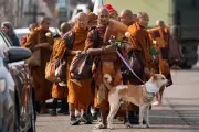 Buddhist Monks' US Peace Walk: 18 Monks and a Dog Head for Washington