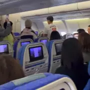 Cabin Crew in Flap as Eurasian Sparrow Stowaway Delays Cathay Pacific Flight