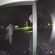 Canterbury Cat Savaged by Suspected XL Bully Dogs in Doorbell Camera Horror