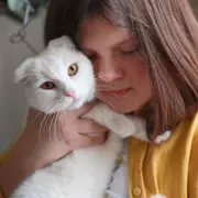 Cat Protection Warns Owners of 'Widespread' Feline Dental Health Issue