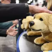 CES 2026 Unveils AI Health Mirrors & Robot Dogs: The Gadgets Shaping Our Future