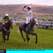 Champagne Fever, Dual Cheltenham Festival Winner, Dies Aged 18