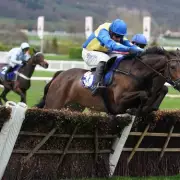 Cheltenham Festival Legend Langer Dan Dies Suddenly from Heart Condition