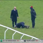Cheltenham Race Investigation Launched After Ground Hole Delays Final Hurdle