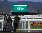 Cheltenham Trials Day Overshadowed by Track Hole and Sir Gino Injury