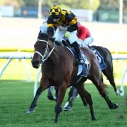 Chris Waller Targets Royal Ascot with Joliestar Following Nature Strip Success