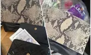 Christmas Miracle: Woman Reunited with £500 Cash After Handbag Mistakenly Recycled